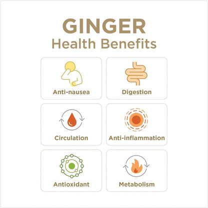 GIN GINS | Original Ginger Chews, Hard Candy and Crystalized Candy
